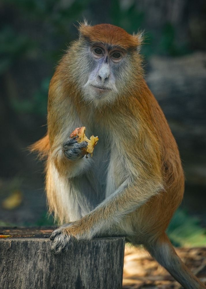 Photograph by Юрий Юрьевич Подгрушный