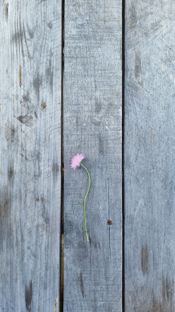 Photograph by Катерина