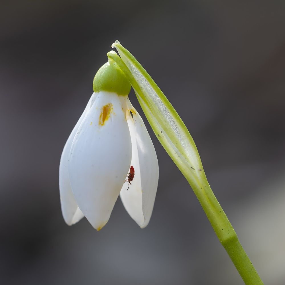 Photograph by Александр Земляной