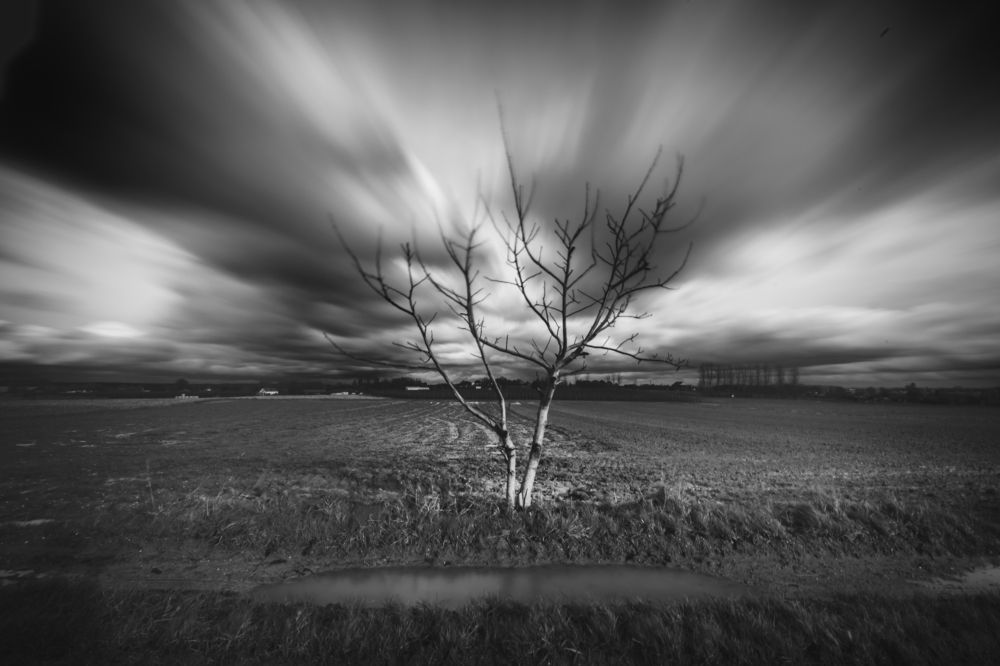 Фотография автора Linda Celis