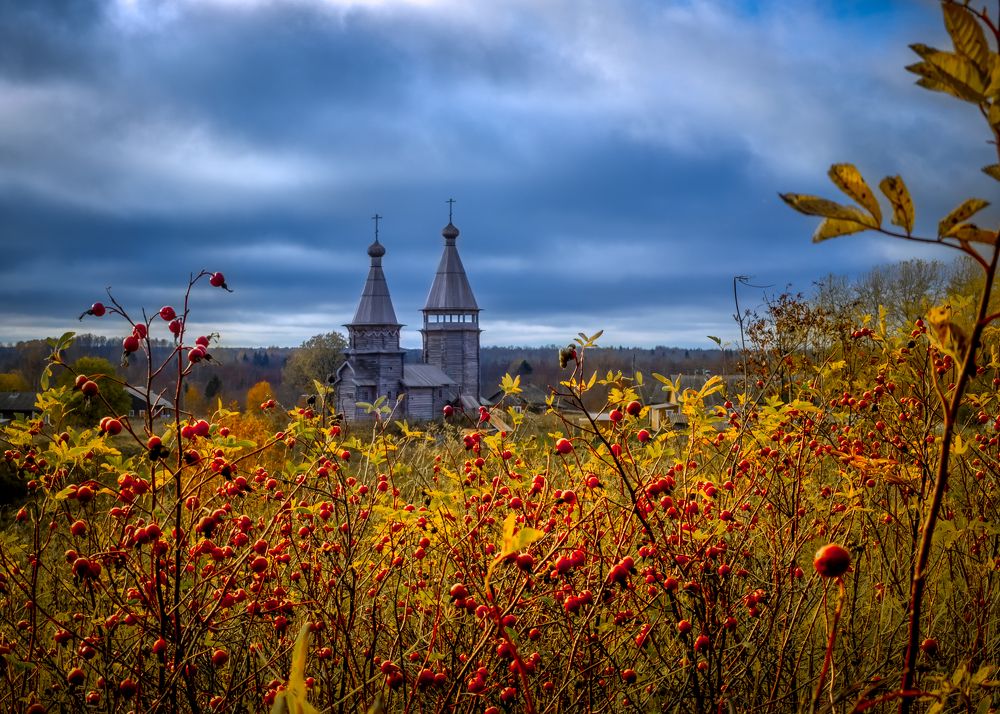 Осенние краски Севера