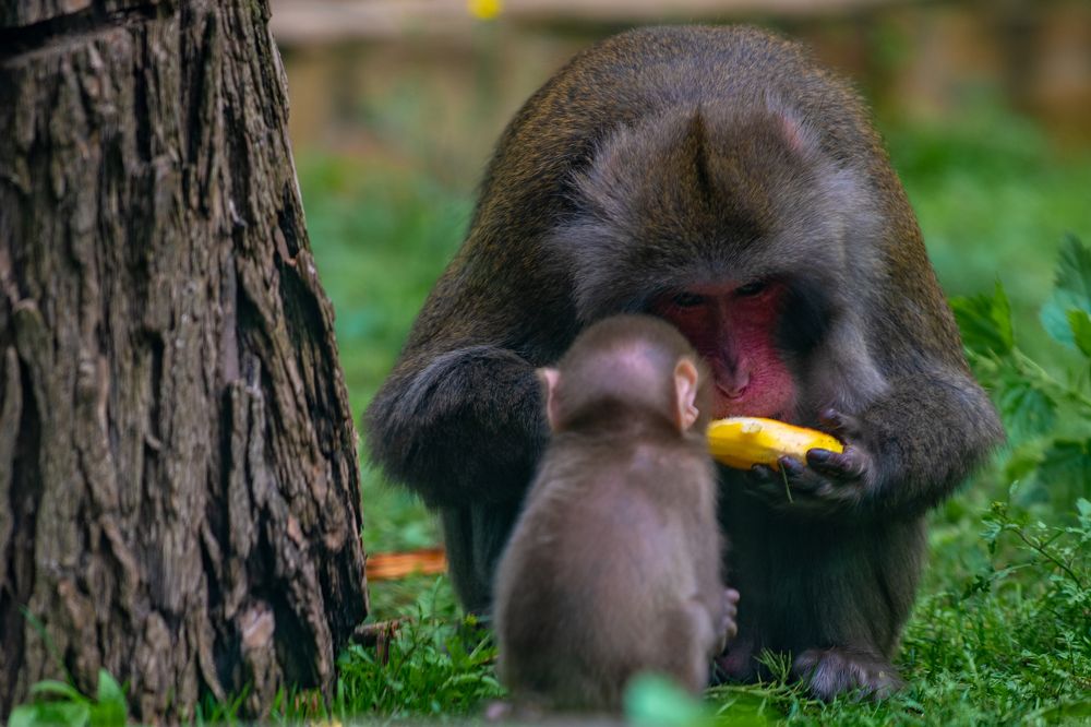 Photograph by Валерий Худынцев