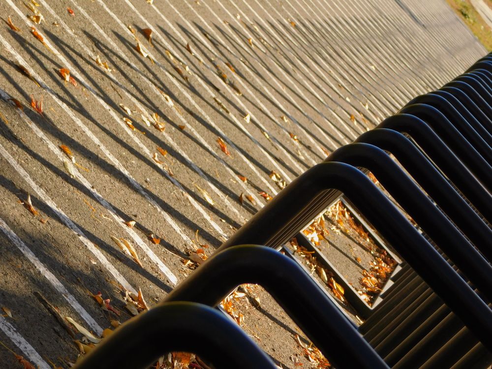 Photograph by Сергей Чеченов