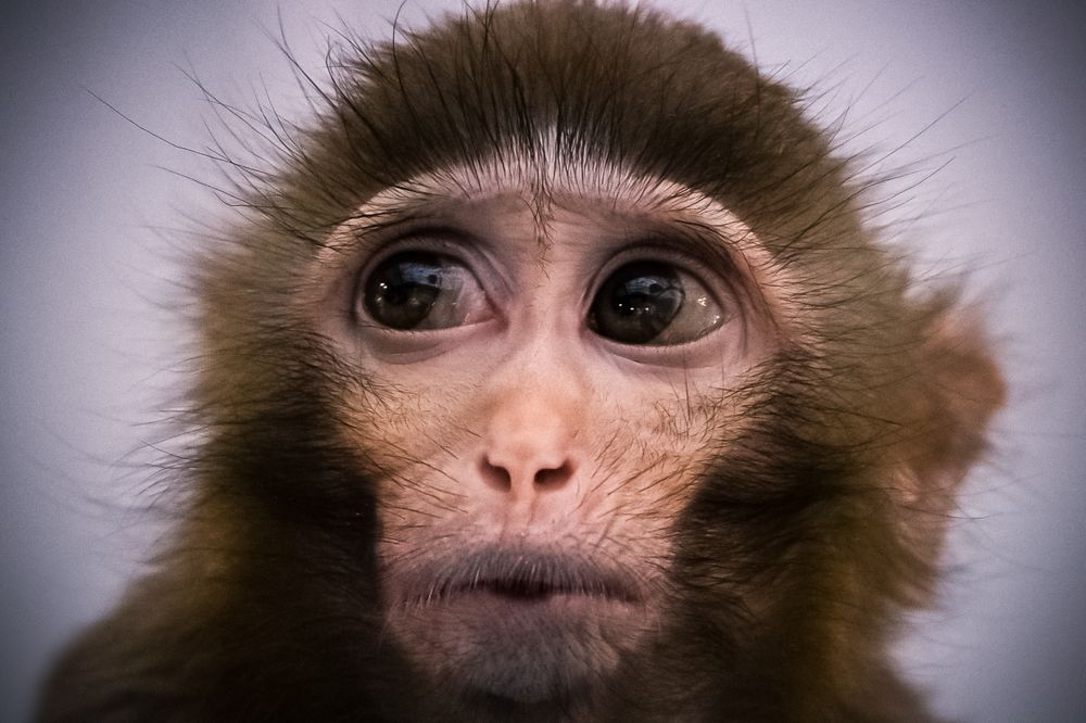 Photograph by Сергей Шпаков