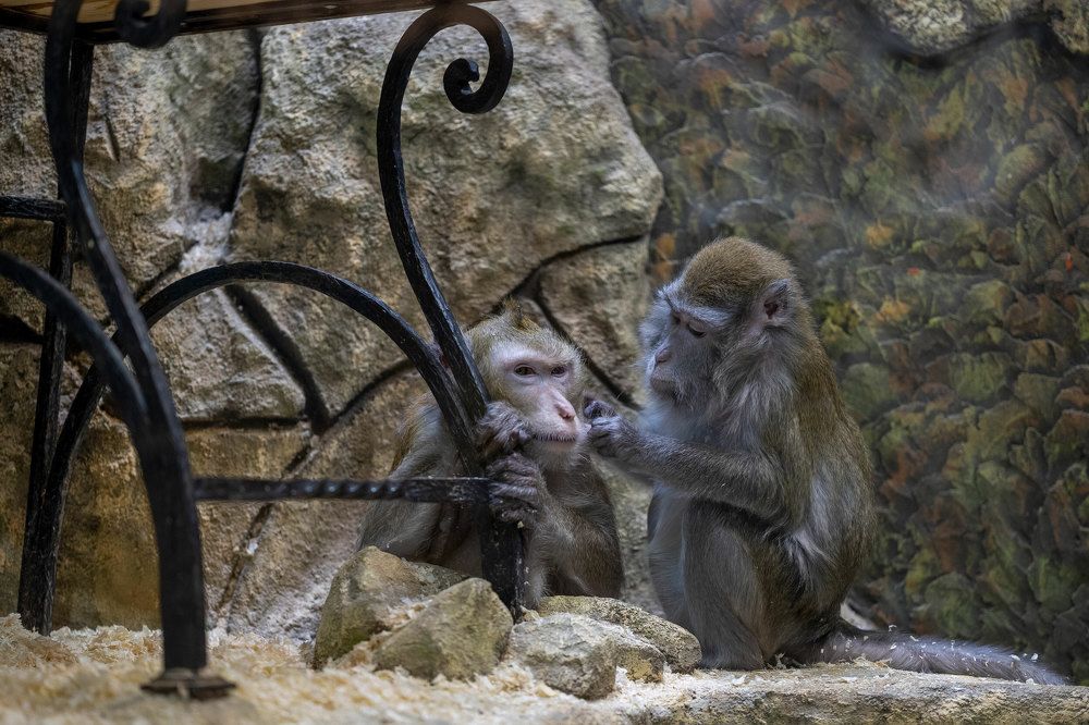 Photograph by Сергей Шпаков