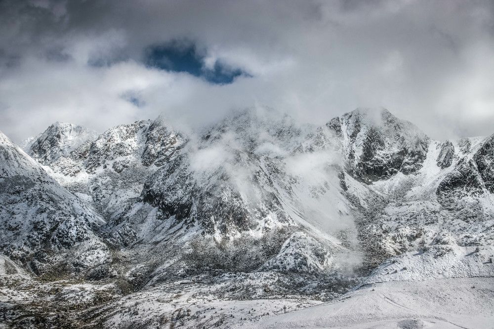 Фотография автора vanessa elbin