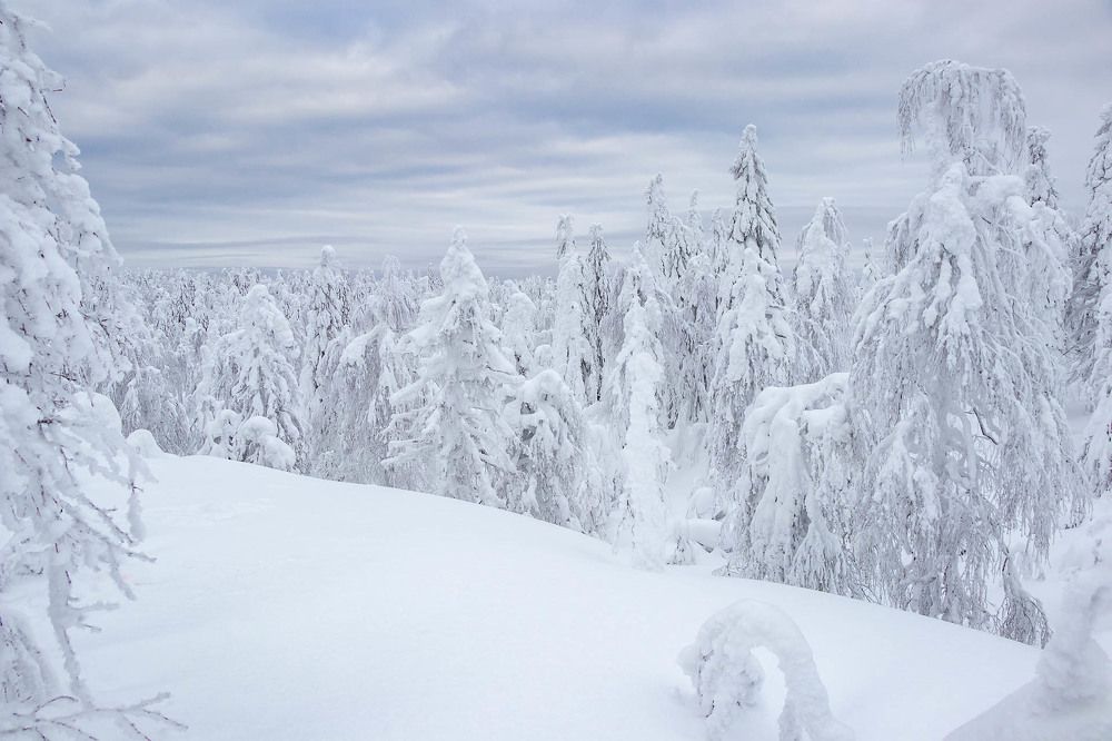 Photograph by Алексей Середенин