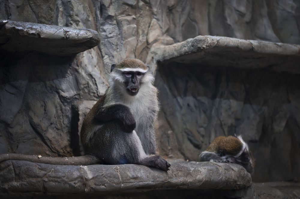 Photograph by Сергей Шпаков