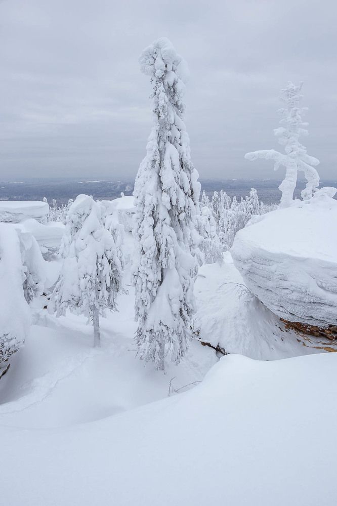 Photograph by Алексей Середенин