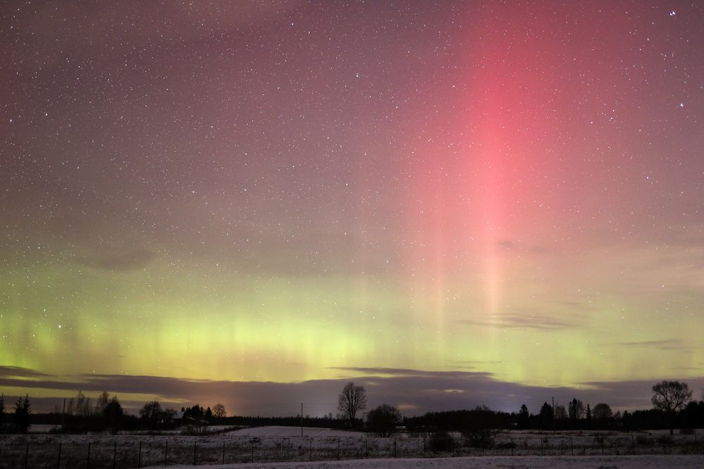 Фотография автора Inga Ivanova