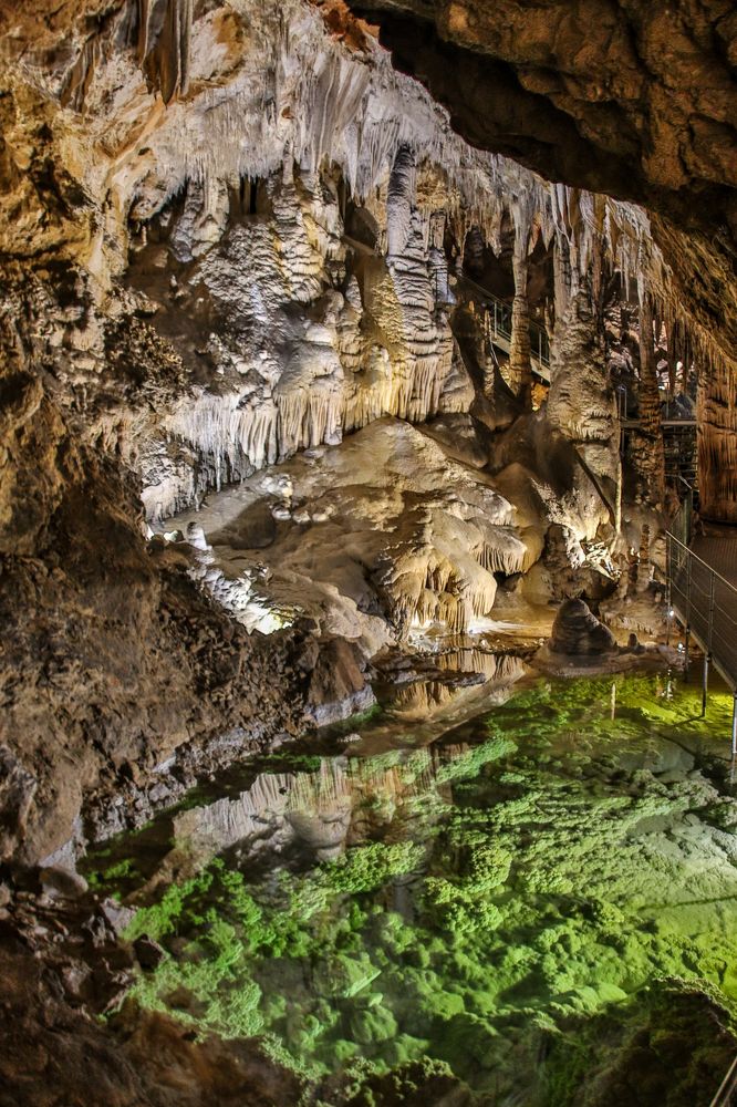 Фотография автора vanessa elbin