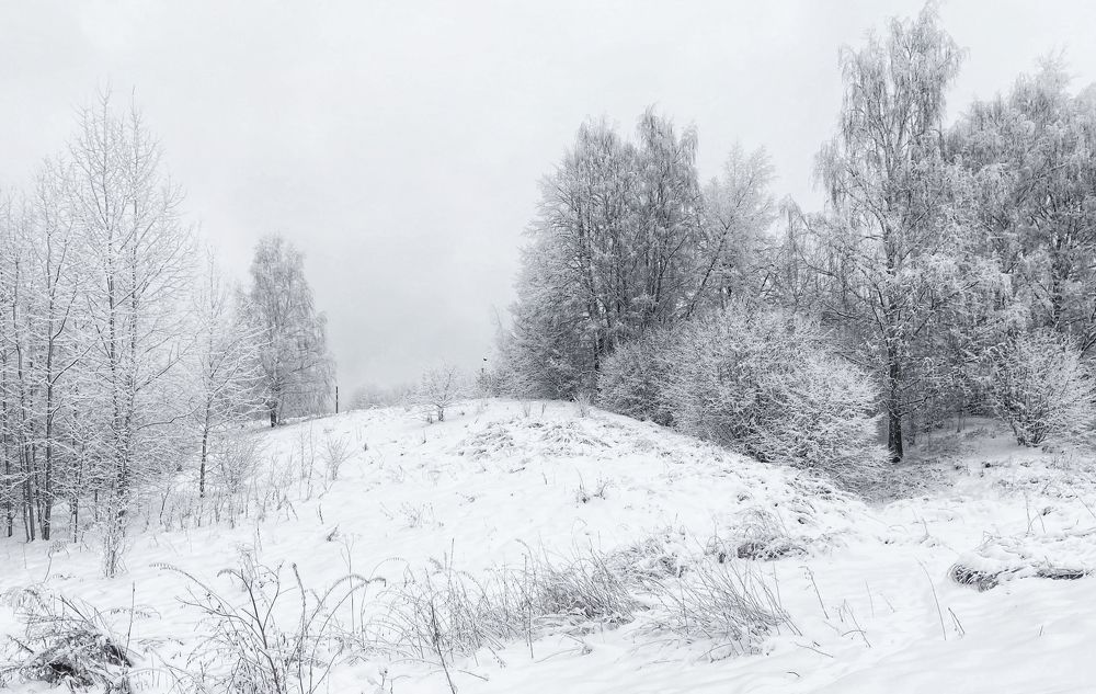 Photograph by Lana Cardi