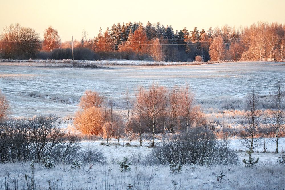 Фотография автора Inga Ivanova