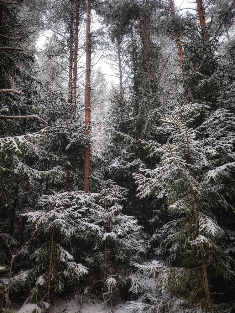 Photograph by Jekaterina Smolicka