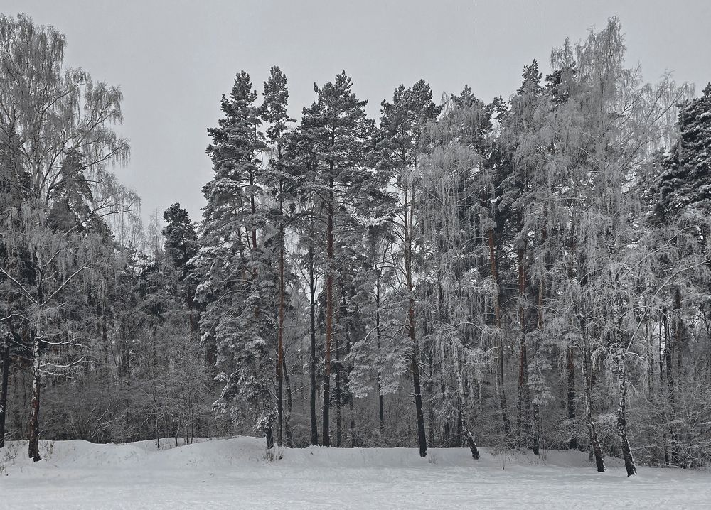 Photograph by Lana Cardi