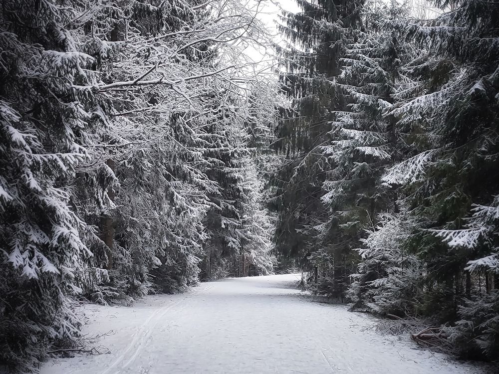 Photograph by Jekaterina Smolicka