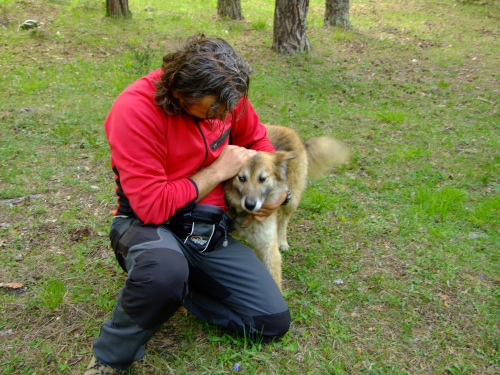 Photograph by Cengiz Yalcin