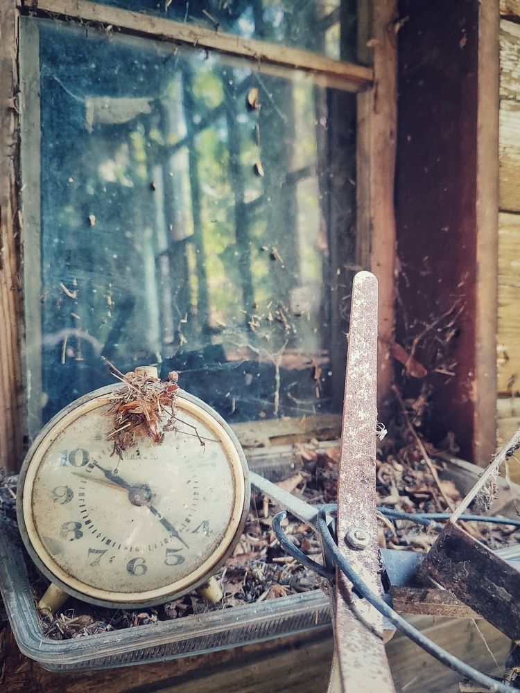 Photograph by Jekaterina Smolicka