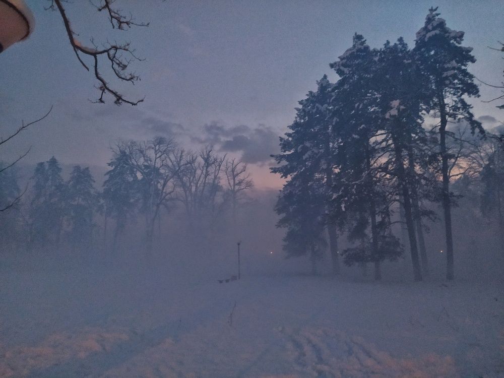 Photograph by Dragoslav Macanović