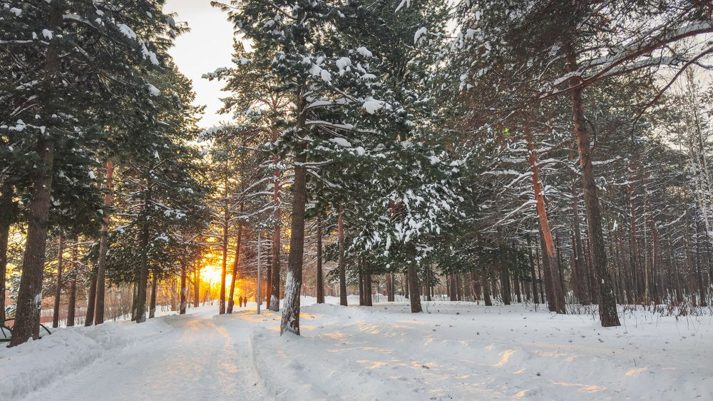 Photograph by Инна Смолякова