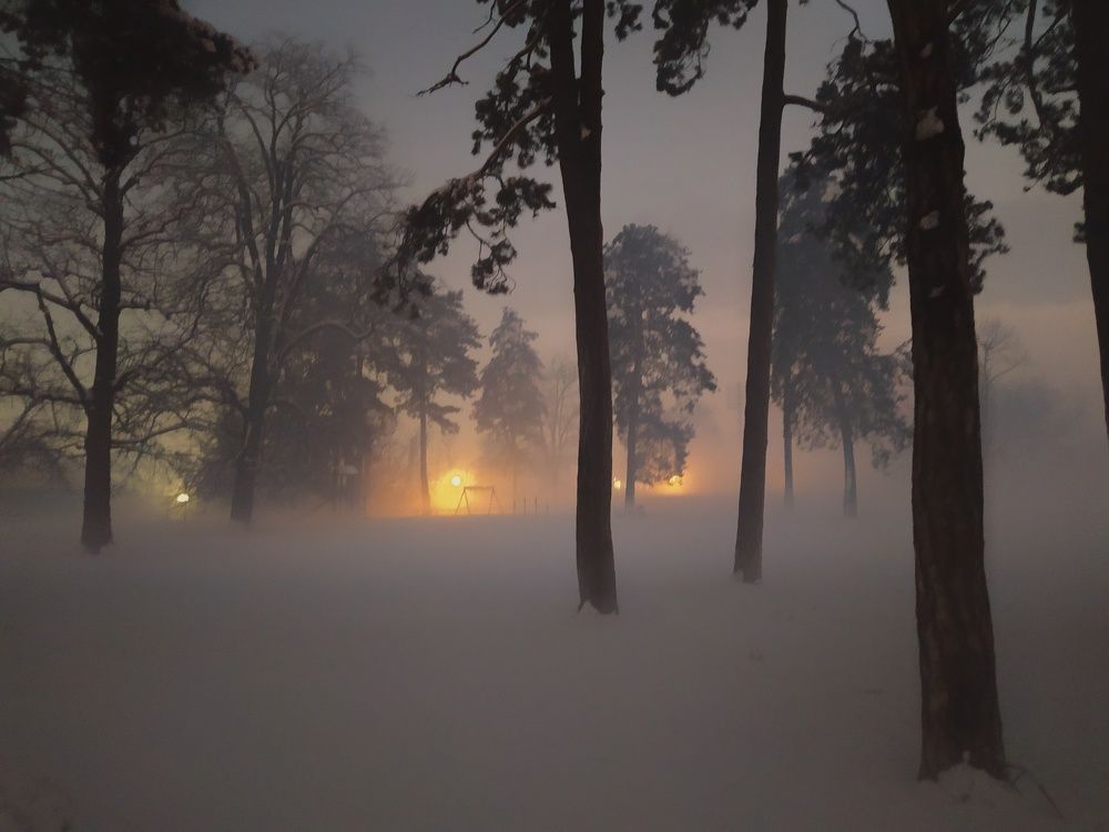 Photograph by Dragoslav Macanović