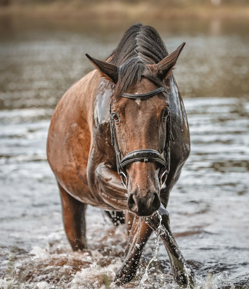 Photograph by Марина