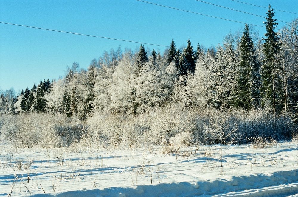 Photograph by Алексей