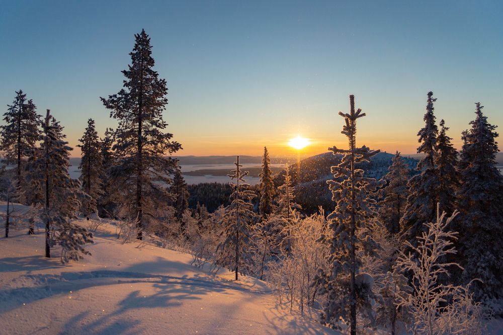 Photograph by Anna Levina