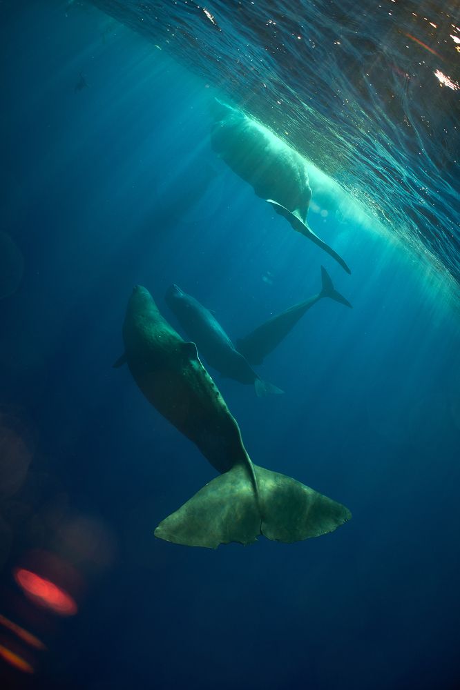 Photograph by PEREPECHAEV PAVEL