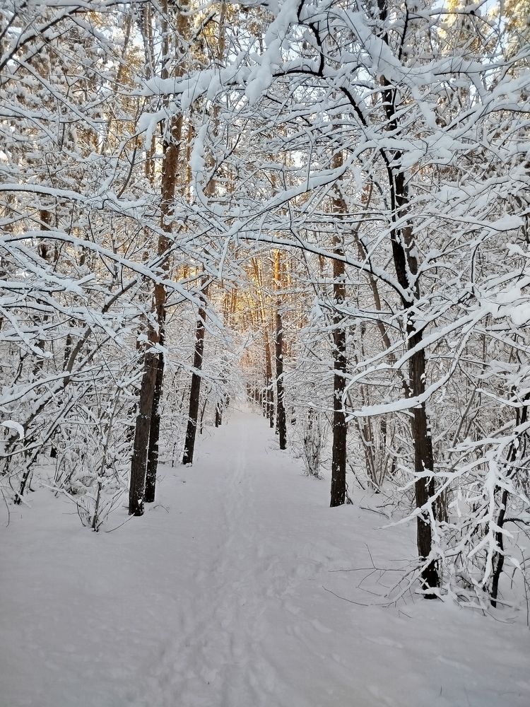 Photograph by Olga Александрова