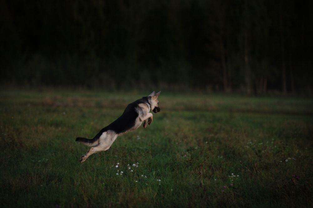 Photograph by Екатерина Смирнова