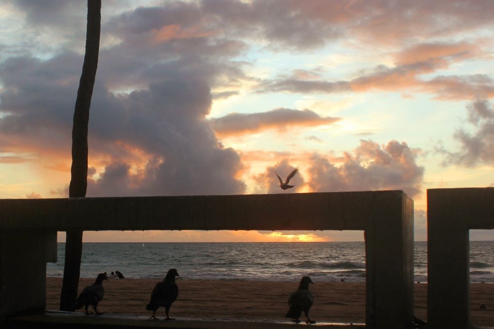 Photograph by CRINALDO REIS