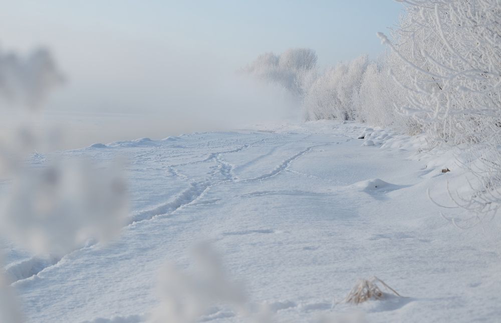 Photograph by Ольга Шибяева