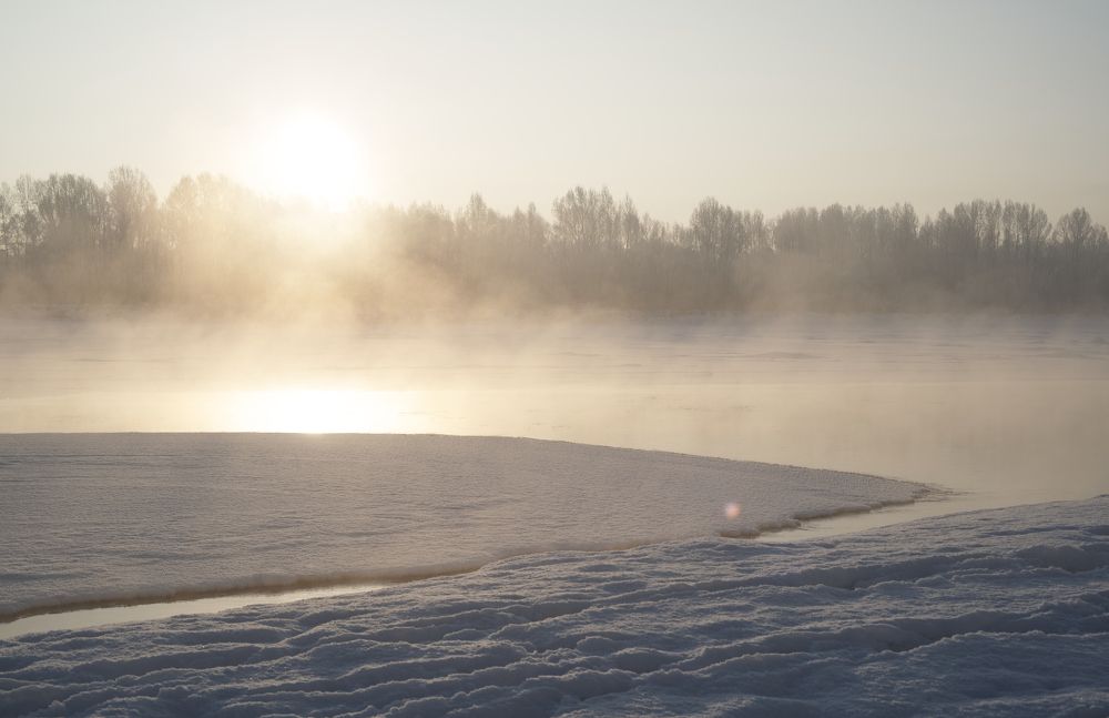 Photograph by Ольга Шибяева