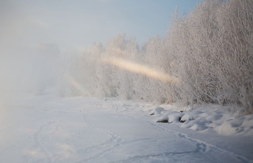 Photograph by Ольга Шибяева