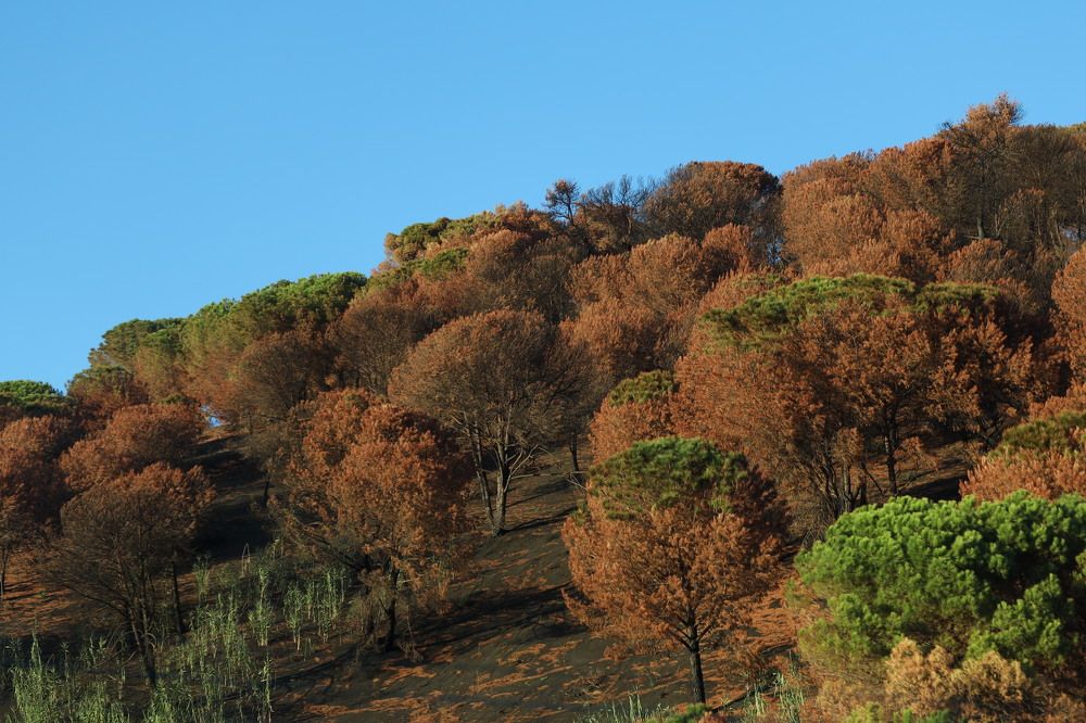 Фотография автора Inga Ivanova