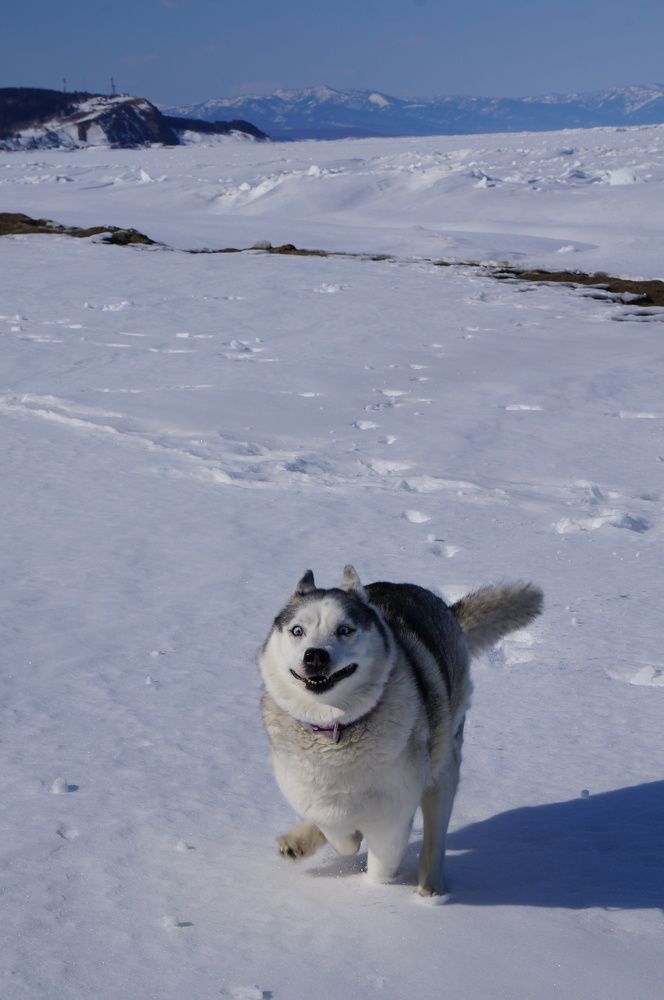 Только небо, только ветер, только радость впереди!
