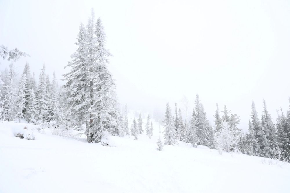 Photograph by Екатерина Анциферова