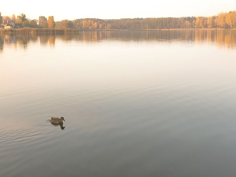 Photograph by Катрина Покумейко