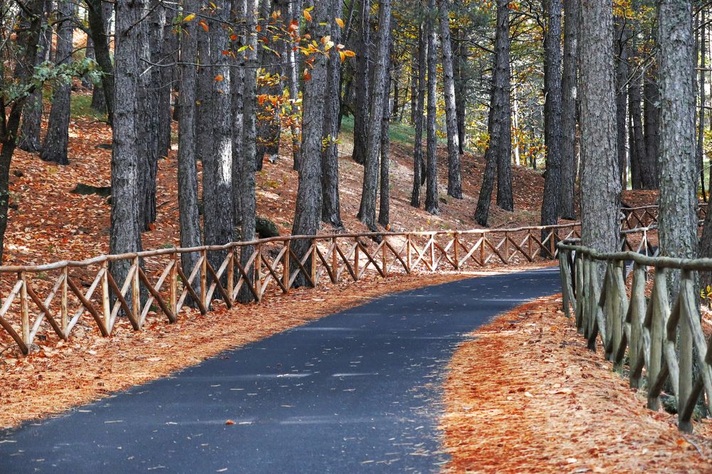 Фотография автора Inga Ivanova