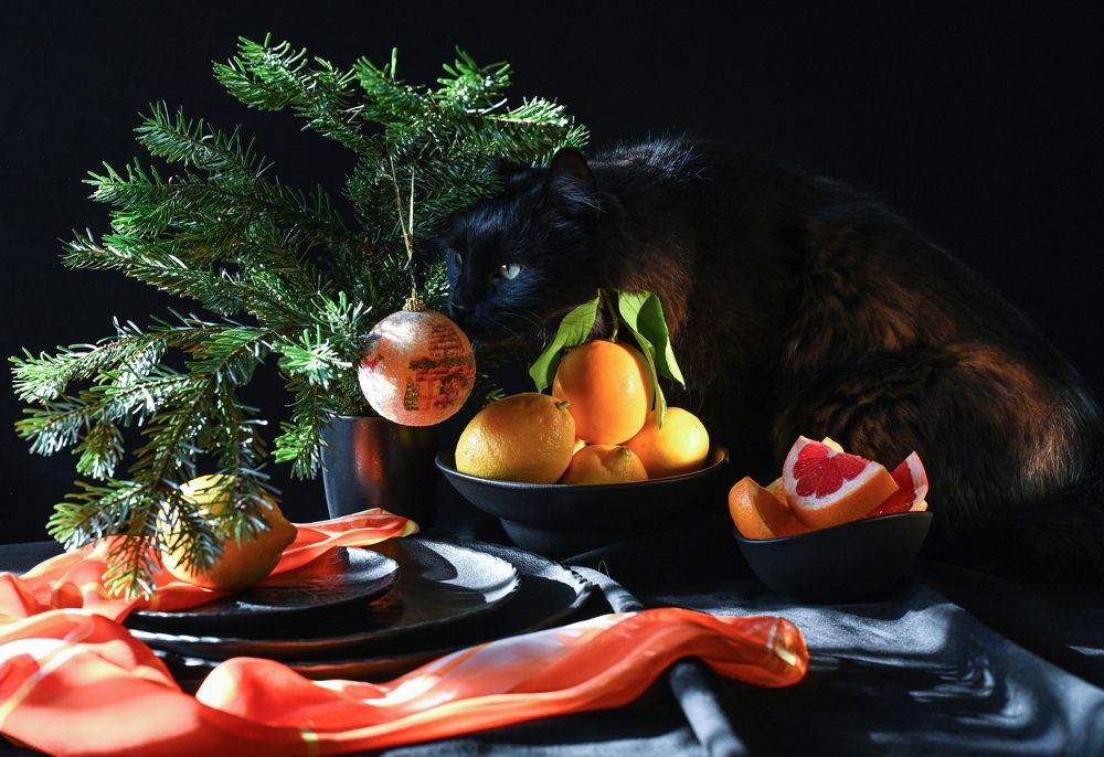 Photograph by Татьяна Казьмина