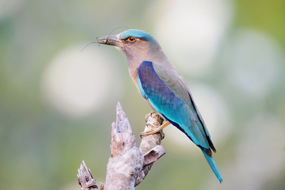 Photograph by Гукасян Геворк