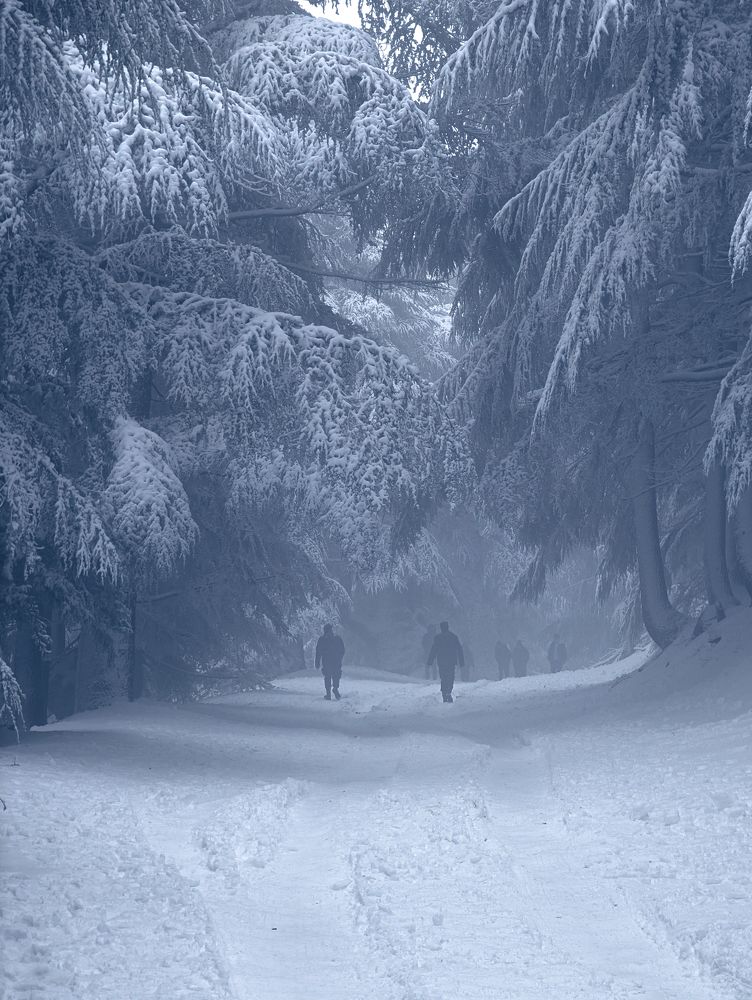 Photograph by Samir Meftah