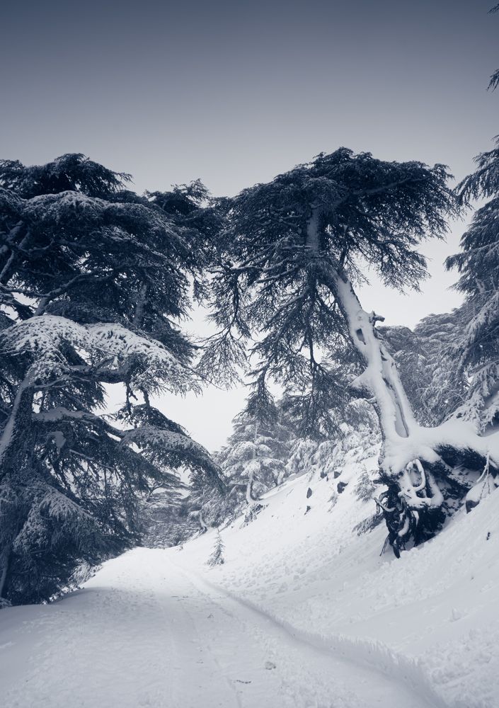 Photograph by Samir Meftah