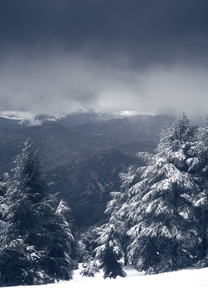 Photograph by Samir Meftah