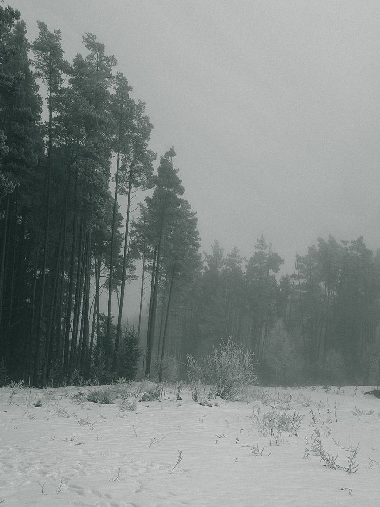 Фотография автора Ирина