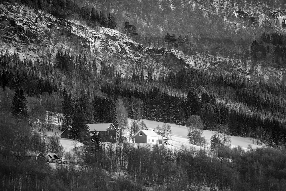 Photograph by Renee Johansson