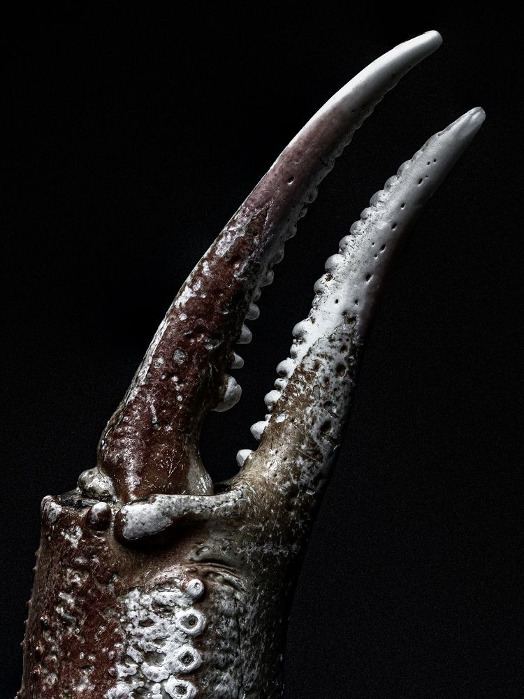 Photograph by Игорь Толкачев