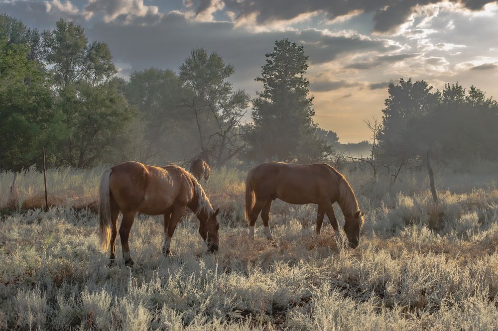 Photograph by Vasilev Roman