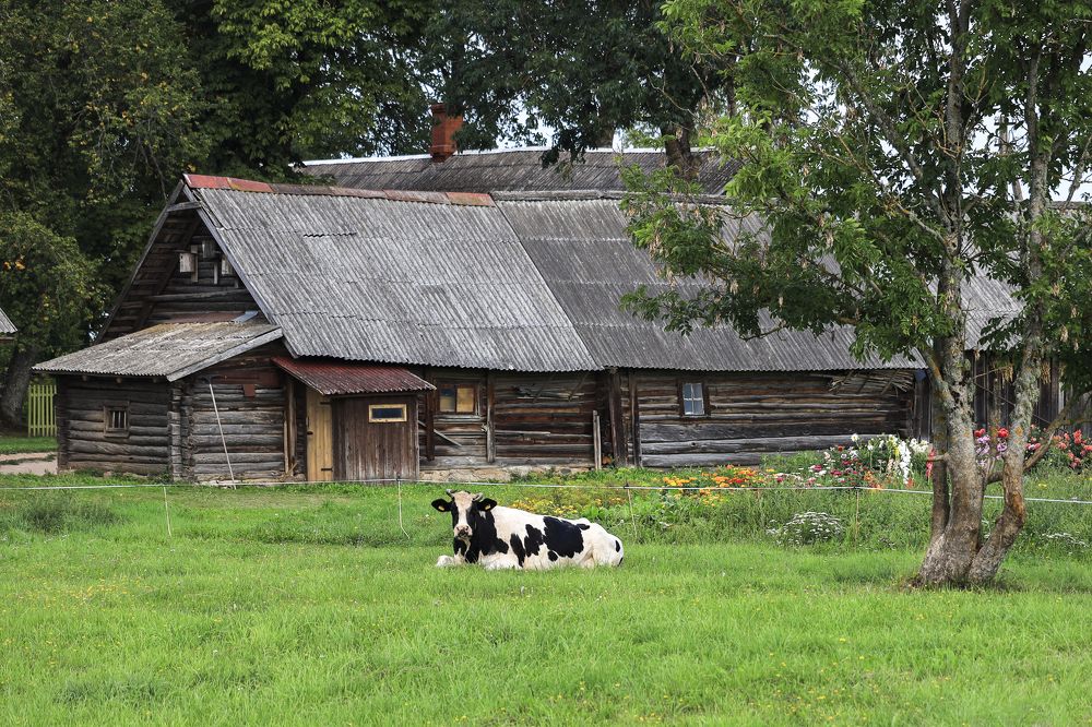 Фотография автора Inga Ivanova